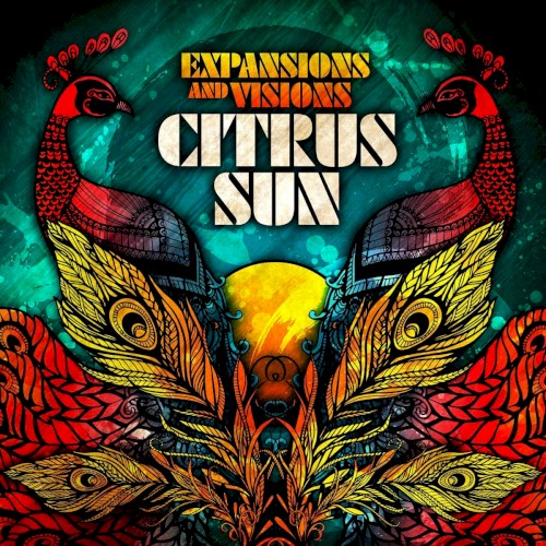 Expansions and Visions