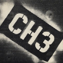 CH3