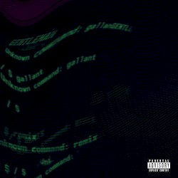 Gentleman (remix)