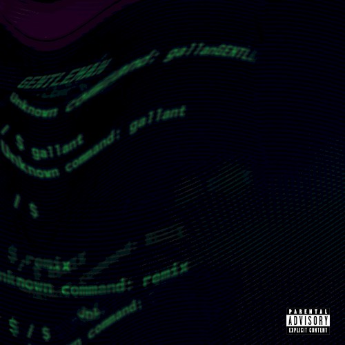 Gentleman (remix)
