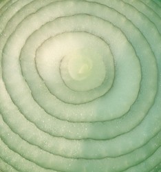 2 Green Onions (Blur vs. Two Tone Mods)