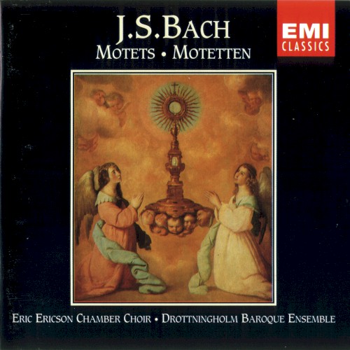 Motets