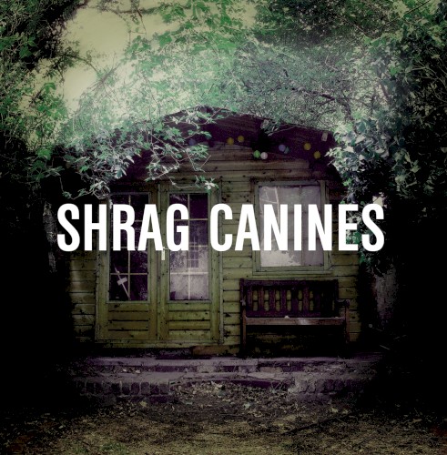 Canines
