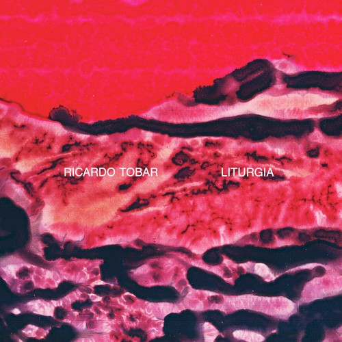 Liturgia