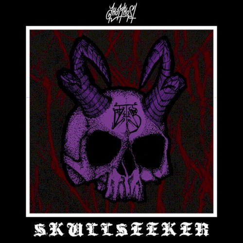 SkullSeeker