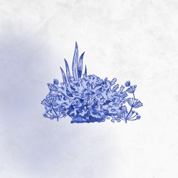 Coral Reef Mix