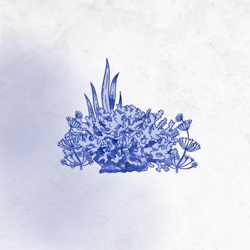 Coral Reef Mix