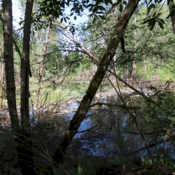 Lake Forest Park, WA