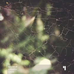 Silktremor
