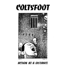 Action at a Distance
