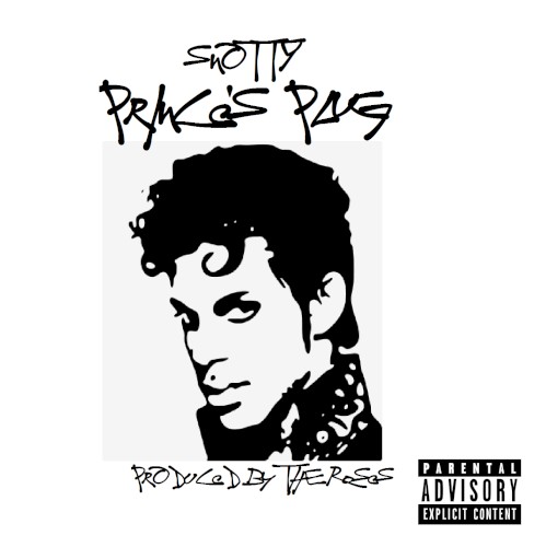 Prince's Plug