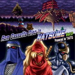 Rom Cassette Disc In NATSUME Vol.3 Powered by TAITO