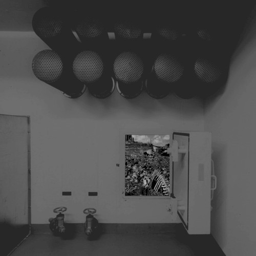 Extinction Process VI