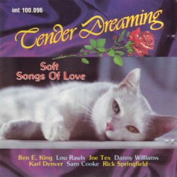 Tender Dreaming I - Warm Songs Of Love