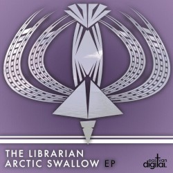 Arctic Swallow - EP