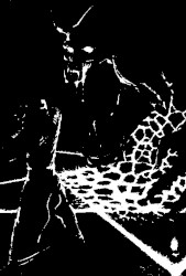 Black Herald