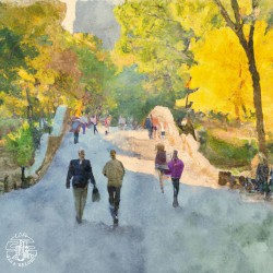 A Walk in the Park