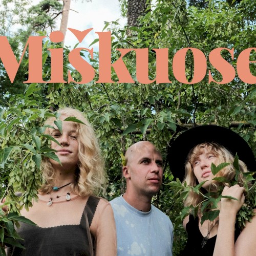 Miškuose
