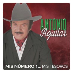 Mis Número 1... Mis Tesoros