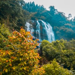 Pristine Waterfall