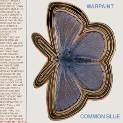 Common Blue