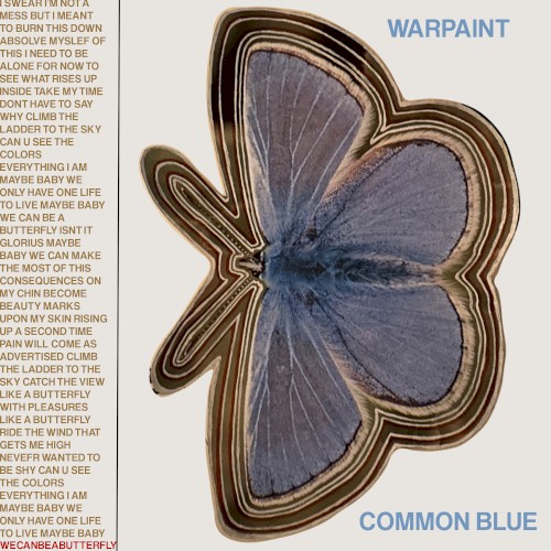 Common Blue
