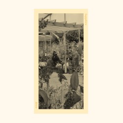 Sapphire Brew EP