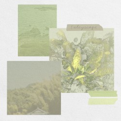 Foleyscape