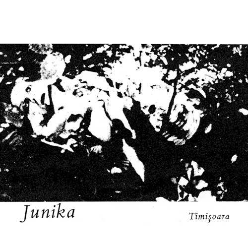Junika