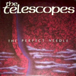 The Perfect Needle