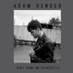 Don’t Wake Me Up (acoustic)