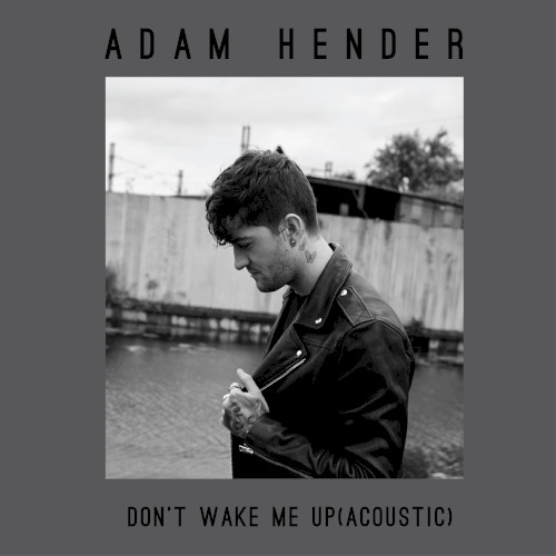 Don’t Wake Me Up (acoustic)