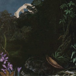 The Detail
