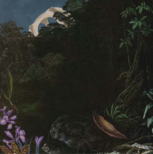 The Detail