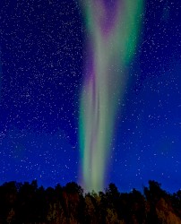 Aurora’s Breath