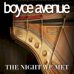 The Night We Met