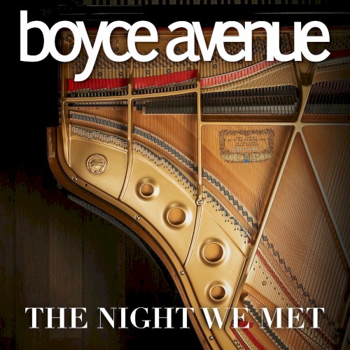 The Night We Met