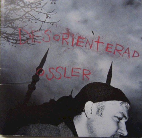 Desorienterad
