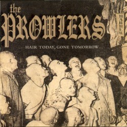 Hair Today, Gone Tomorrow...