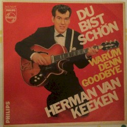 Du bist schön / Warum denn Goodbye