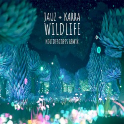 Wildlife (KOLIDESCOPES remix)