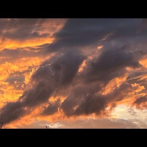 [untitled]