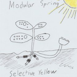 modular spring