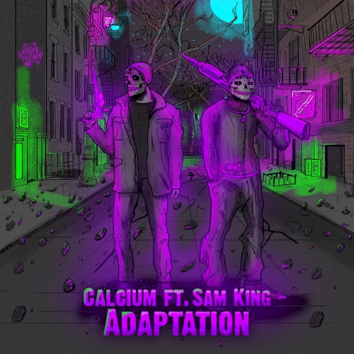 Adaptation
