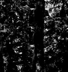 Horrible Noises From The Darkest Reaches Of Mirkwood