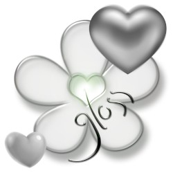 gloss
