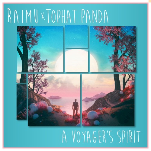 A Voyager's Spirit