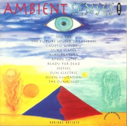 Ambient Senses: The Vision