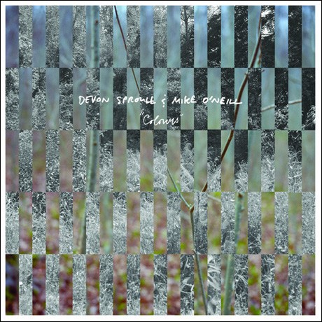 Colours