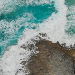 Waves of Thought